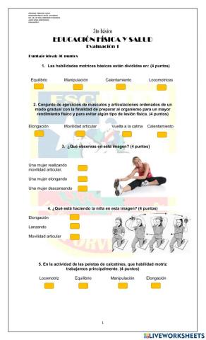 Evaluación 1 - 5tos básicos