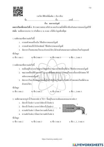 สมการแบร์นูลลี