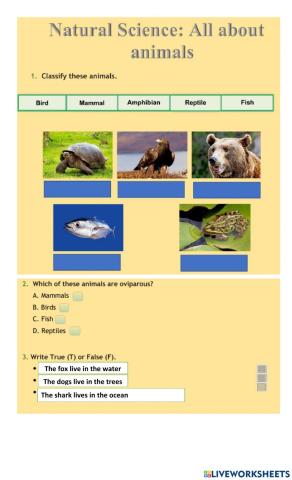 Animal habitats