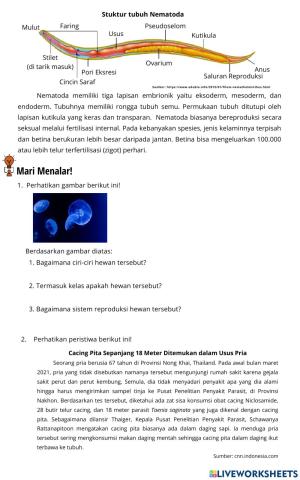 Handout animalia pertemuan pertama