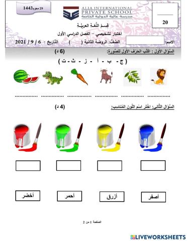 اختبار تشخيصي