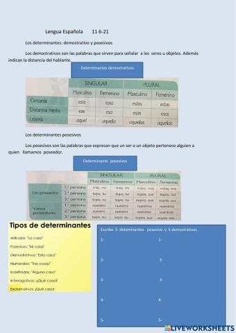 Los determinantes: demostrativo y posesivos