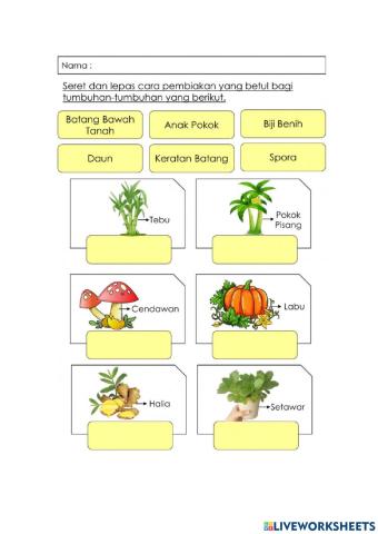 Cara pembiakan tumbuhan