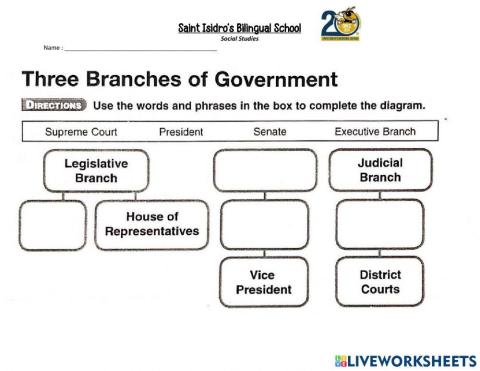 Three Branches of Government