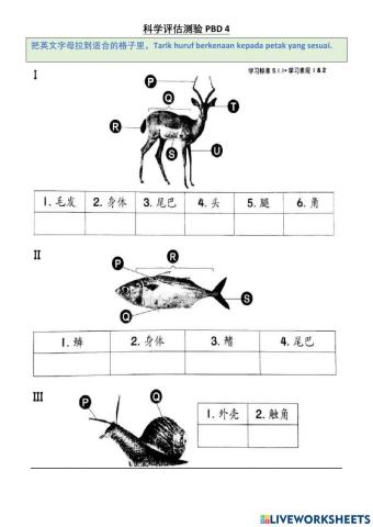 Pbd 4 一年级科学：动物的身体部位