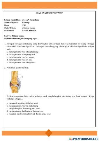 Soal evaluasi sendi dan otot