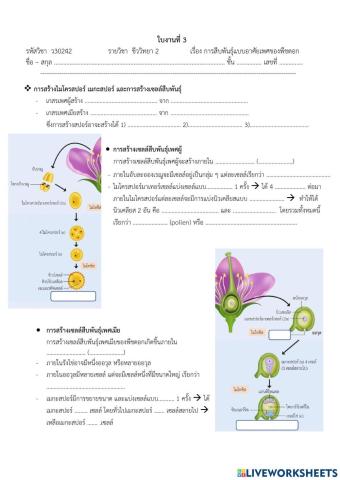 ใบงานที่ 3 การสืบพันธุ์ของพืชดอก