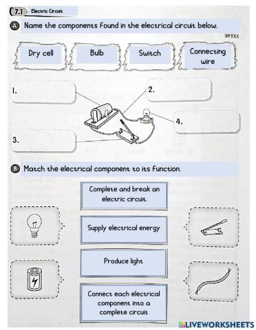 Year 2 electricity