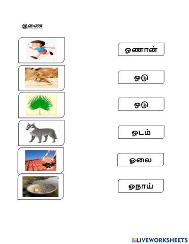 ஓ சொற்கள்