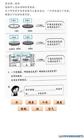 二年级科学：植物发芽的基本需求