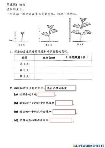 二年级科学：植物的生长变化