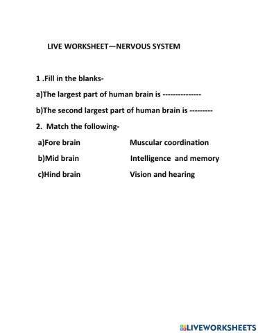 Nervous system