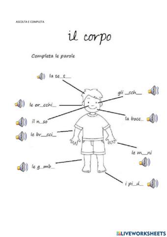 Le parti del corpo