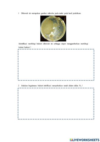 Uji Kompetensi Modul Bakteri Essay