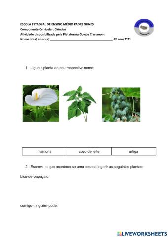 Plantas toxicas