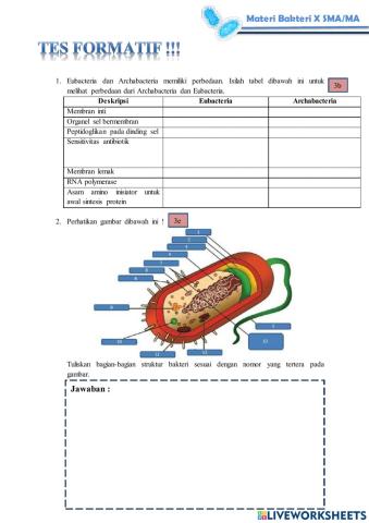 Tes Formatif Modul Materi Bakteri Pertemuan 2