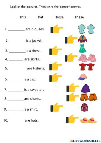 Demonstrative Pronouns