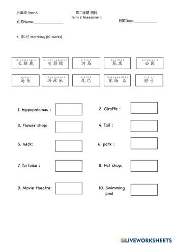 Year 6 Assessment