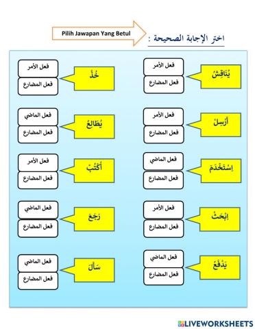 الفعل الماضى والمضارع والأمر