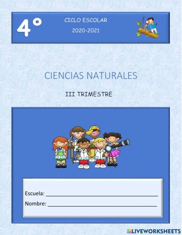 Evaluación tercer trimestre 4° Ciencias Naturales