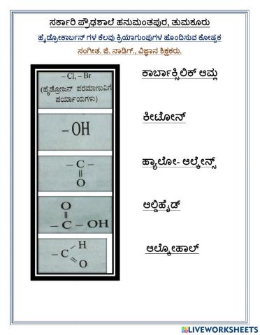 Functional groups drag and drop activity