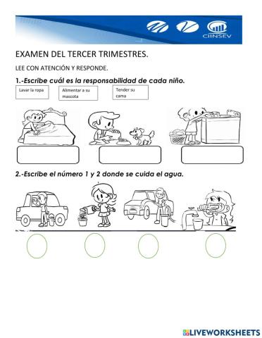 Examen de conocimiento del medio