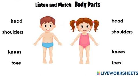 Body parts