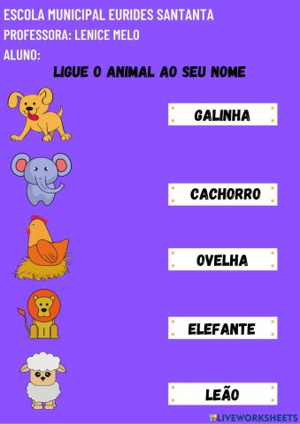 Ligue os animais