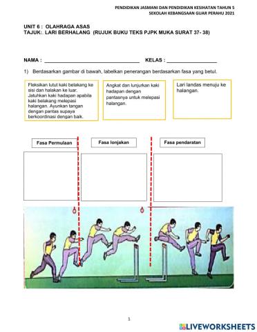 Pendidikan jasmani