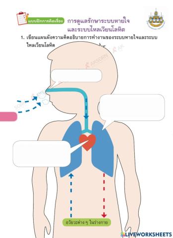 สุขศึกษา ป.6