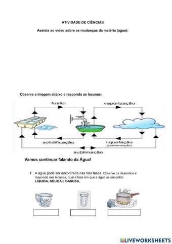 Agua e habitos dos animais