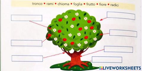 L'albero e le sue parti