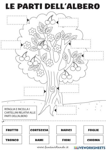 L'albero e le sue parti