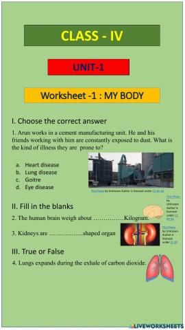 IV Std - Term 1 - Science