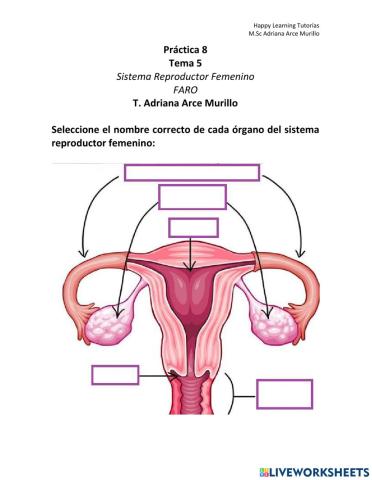 Ciencias