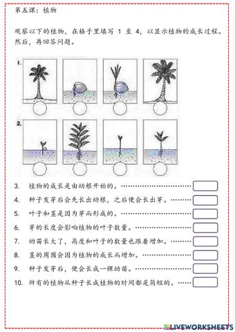 植物的生长过程