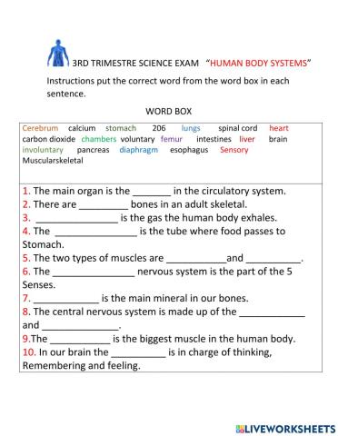 Human Body Systems