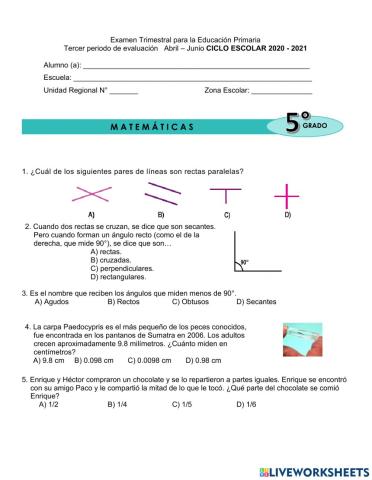 Examen trimestral matematicas