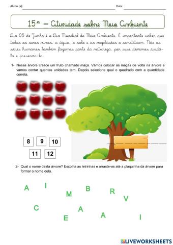 15ª APN 2021 Meio Ambiente Int.