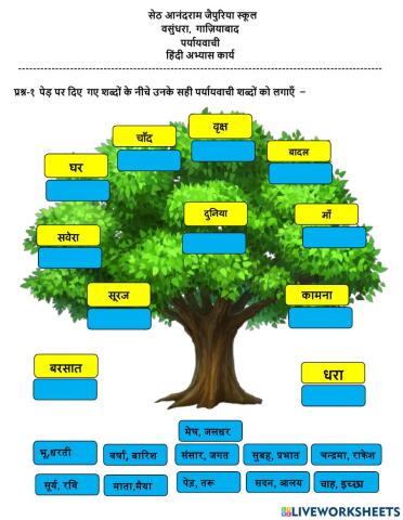 अभ्यास कार्य (पर्यायवाची )