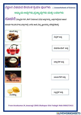 Acids Present in Some Food Items