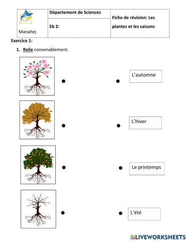 Les plantes et les saisons eb2