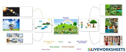 Взаємозв'язки у природі