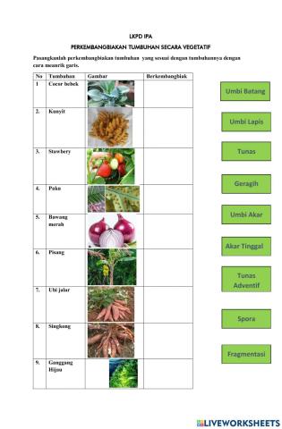 LKPD Perkembangbiakan Tumbuhan