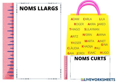 Noms curts-noms llargs