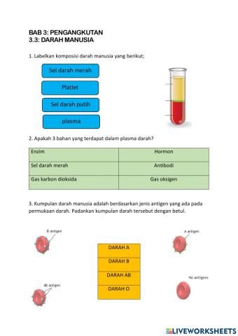 3.4 darah manusia (part 1)