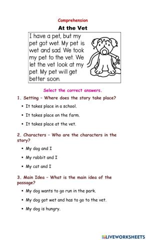 Comprehension Assessment