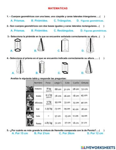 Matematicas