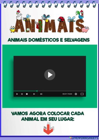 Animais - Atividades 2 - Domésticos e Selvagens