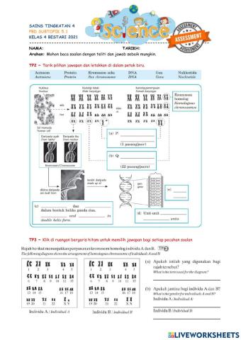 SC t4 5.1-1